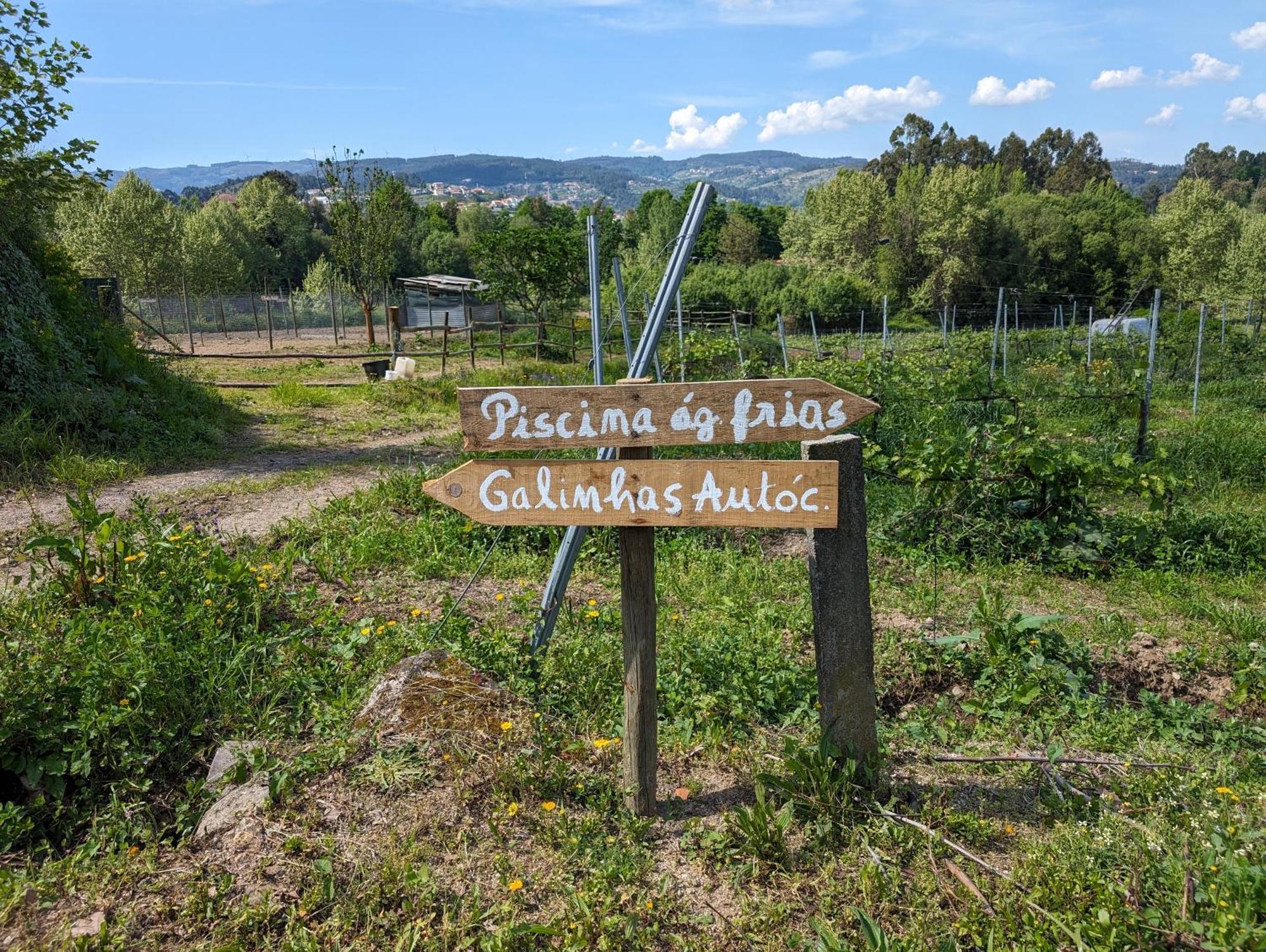 Quinta Da Lage Agroturismo E Enoturismo Селорику-ди-Башту Экстерьер фото